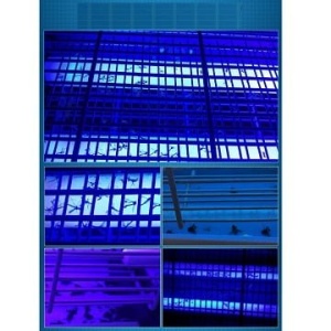 Mata Moscas Mata Insectos Eliminar moscas Trampa insectos Luz UV Trampa moscas atrapa insectos con malla electrica mata insectos voladores